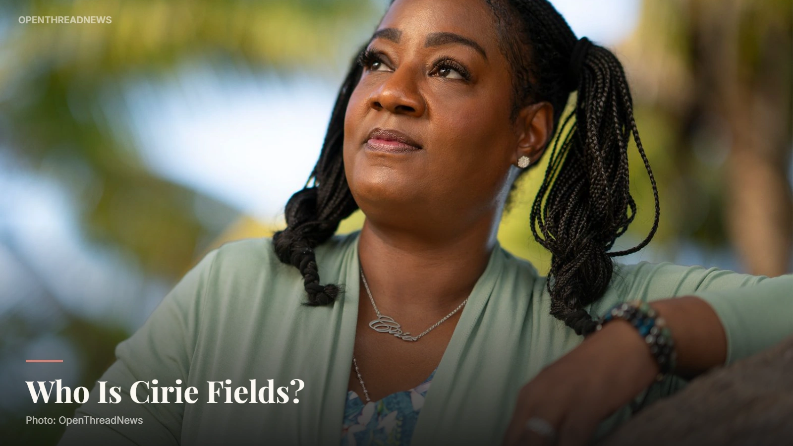 Cirie Fields, Survivor competitor, The Traitors US Season 1 winner and Big Brother 25 houseguest